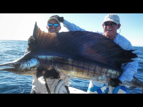 The BEST Sailfish Action in the Exmouth Gulf Western Australia