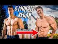 6 Monate VEGAN Transformation von Paul Unterleitner! (Alle Fakten, alle Veränderungen)