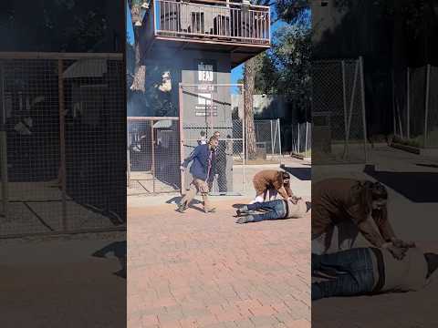 Nos atacan los zombies 🧟‍♀️🧟‍♂️ #zombieshorts #miedo #alfredolarin