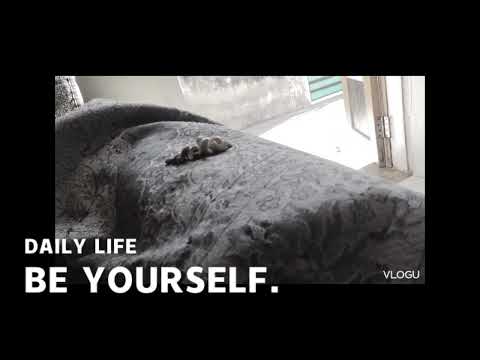 Cinamatic on dry fruits # health # cinamatic # video