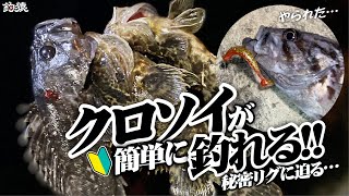 隣の釣り人から教えてもらった仕掛けが天才でした。クロソイ初心者大歓迎