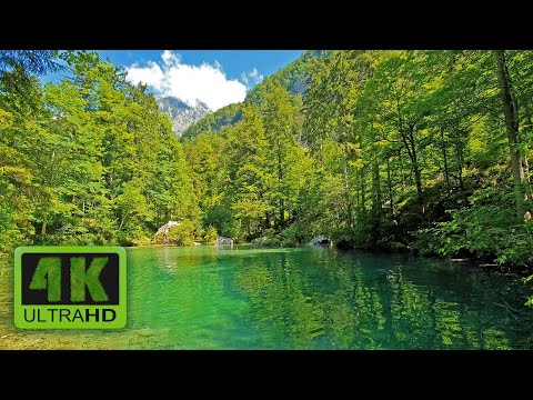 Kamniška bistrica | Kamnik | Slovenia | Relaxing | Forest Nature | Waterfalls | Bird Song | Water