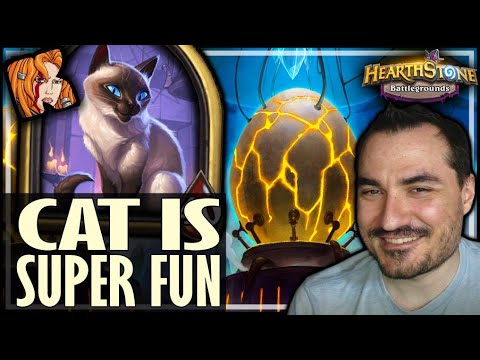 CAT HERO = MAX SATISFACTION! - Hearthstone Battlegrounds