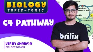 C4 Cycle/ Hatch and Slack Pathway | Biology Topic Tonic #brilix