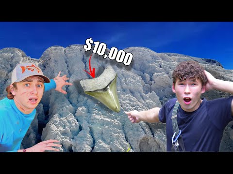 I Found a Megalodon Shark Tooth!