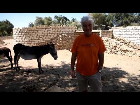 Animal Spirit : Unsere Lebenshöfe: Teil1 Hendlberg