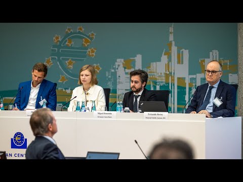 2024 ECB Annual Banking Supervision Research Conference - Session 1 - Paper 1