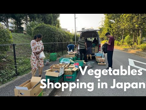 Housewife Fruits and Vegetables Shopping in Japan