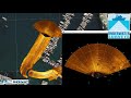 UWS Forward Looking Sonar And Mosaic Of A Marina