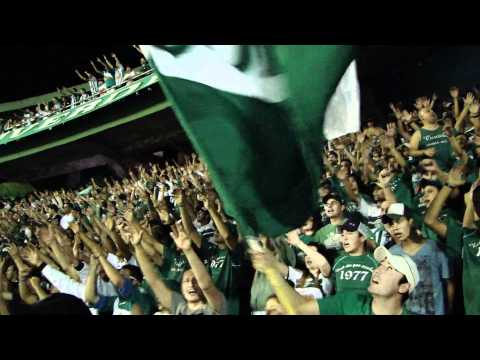 Coxa 3 x 1 Flu- IAV - ♪ a tal da ☠☠