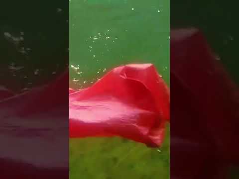 #nadar #buceo #porvenir #magallanes #tierradelfuego