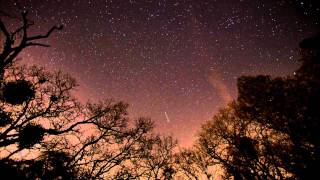 Mansions on the Moon -- Leaves Fall