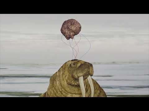 Tanya Tagaq - Toothsayer online metal music video by TANYA TAGAQ