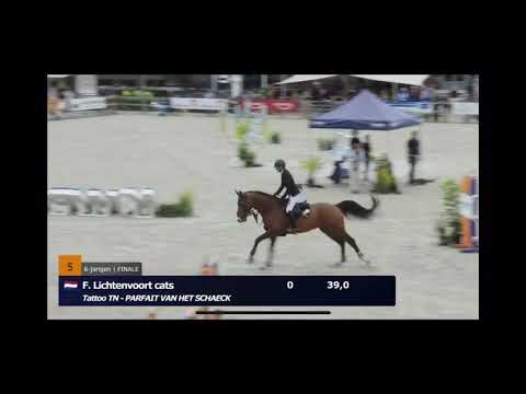 Tattoo jumping 3 clear rounds in Santvoort Cup at Ermelo with Fabienne Lichtenvoort Cats👌⭐️