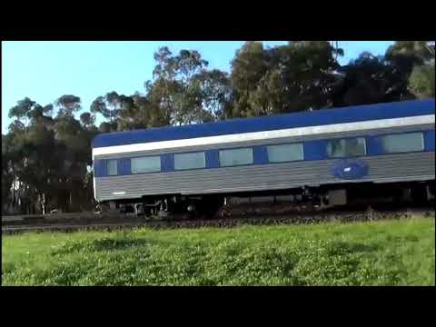 NR100 on 7MA8 in manor