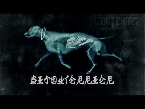 BijouTerrier - JAPANESE TOURBUS ( 日本の観光バス )