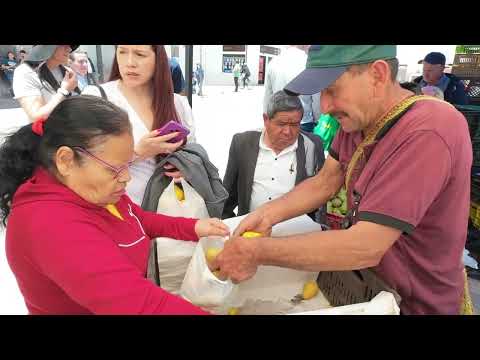 Campesinos de Nuevo Colón venden directo para evitar pérdidas | Enlace Trece
