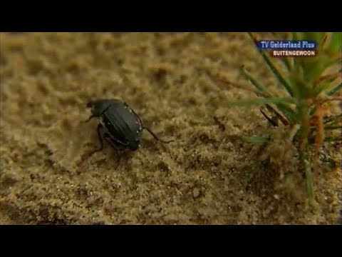 BuitenGewoon 21 mei 2009