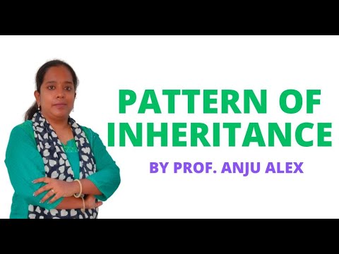 Pattern of Inheritance  II Genetics II B Sc Nursing 2nd Year II Anju Mam II
