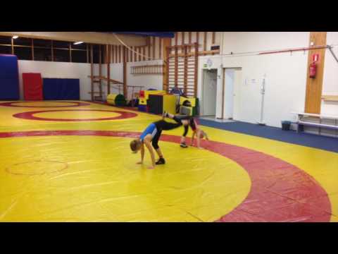 Animal movements: Limping Bear