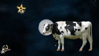 I&#39;m a Cow In Space