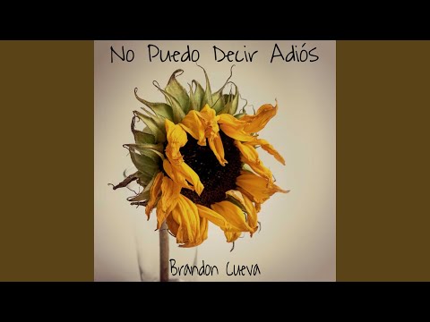 No Puedo Decir Adiós - Brandon Cueva