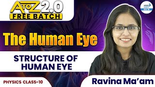 The Human Eye - Structure of Human Eye | Class 10 Physics | NCERT Science | CBSE | Ravina Ma'am