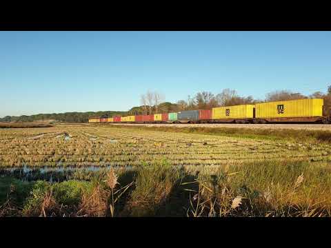 Comboio de Contentores n.º 51383/2 - Monte das Faias