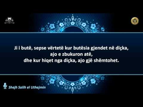Kështu ka urdhëruar Allahu të bëjmë Da'uen (thirrjen në Islam) - Shejh Uthejmin