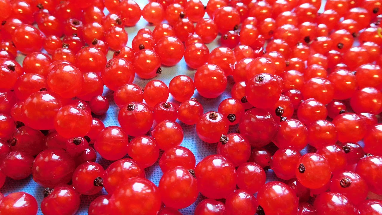 как заморозить красную смородину