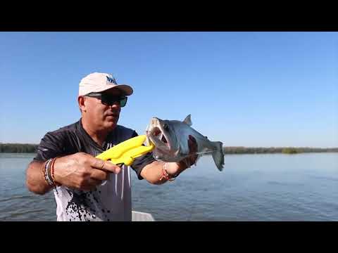 Programa Planeta Turismo - Rio Juruena - Mato Grosso