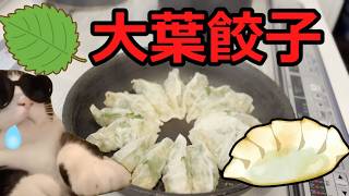 【猫ミーム】激うま大葉餃子！！