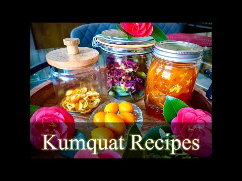 Kumquat Recipes