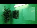 “fireflies” owl city, but you’re in a bathroom at a party in the year 2009