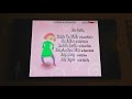 Pinky Dinky Doo Ending