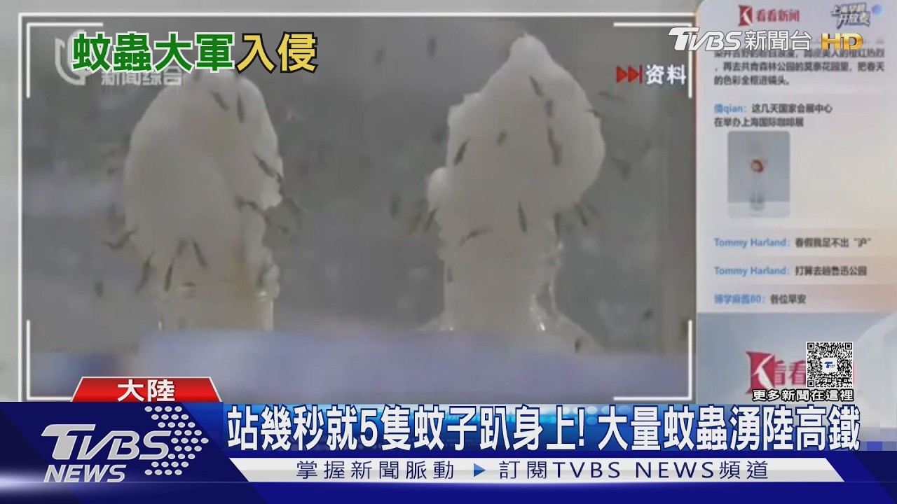 才3月蚊子大軍殺到！大陸多地數量倍增　官方示警傳染病風險升高