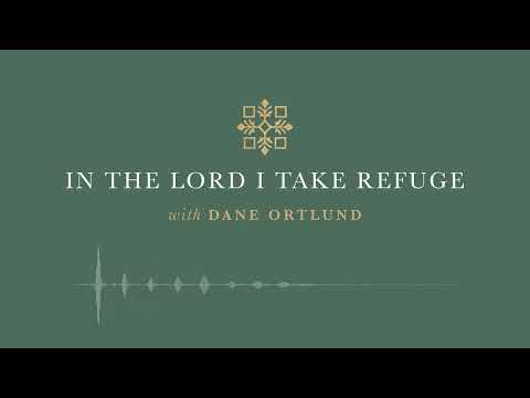 In the Lord I Take Refuge: Psalm 112 - The Righteous Will Never Be Moved