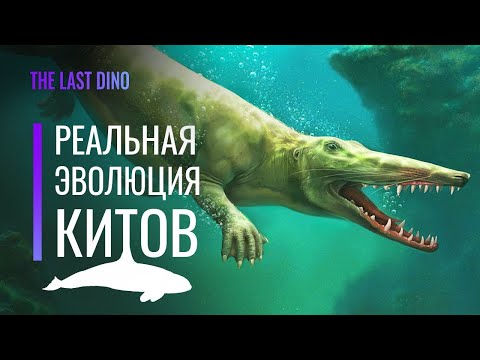 Реальная Эволюция Китов  От копыт до эхолокации