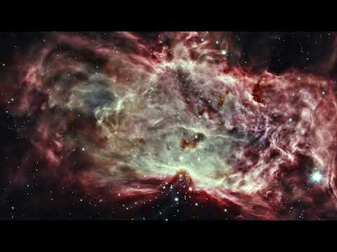 Treszless First Love