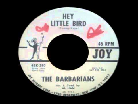 Video thumbnail for Hey Little Bird