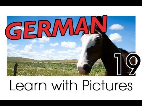 Learn German German Vegetable Vocabulary