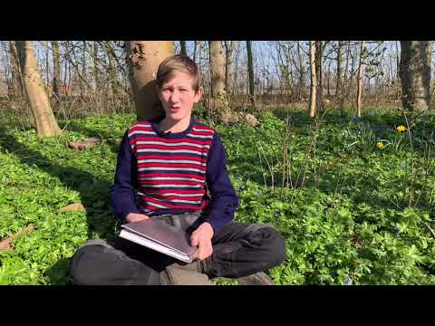 Vincents Trädgård Del 1