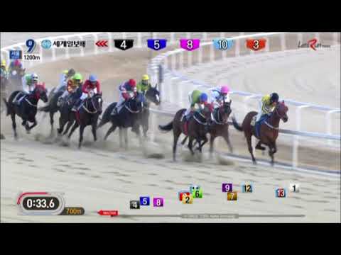 Final Boss - Segye Ilbo Cup - January 28, 2018