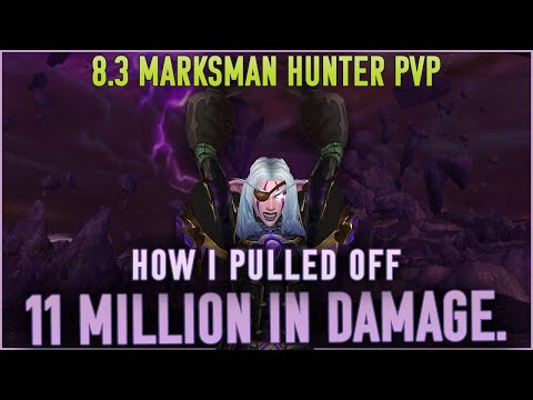 11M IN DAMAGES - MM Hunter WoW PvP (Eye of the Storm BFA 8.3)