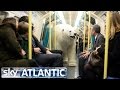 Polar Bear Let Loose In London - FORTITUDE - YouTube