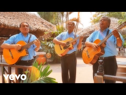 Los Cambitas - El Negocito (Cumbia) ft. Tropicarros de Checo Hernández