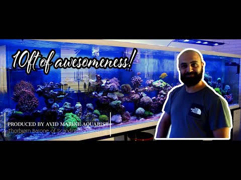 Nihat's 345g Mixed Reef | 10ft of Awesomeness
