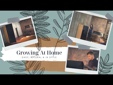 Growing at home easy, natural and IN STYLE - a grow box for every home [growfor.life]