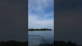 Download lagu Shalom Razade hot mp3