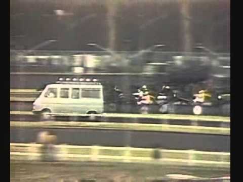 Prix d'Amerique 1981 -Ideal du Gazeau